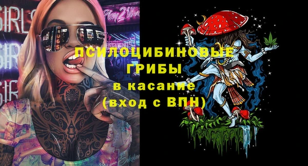крисы Алексеевка