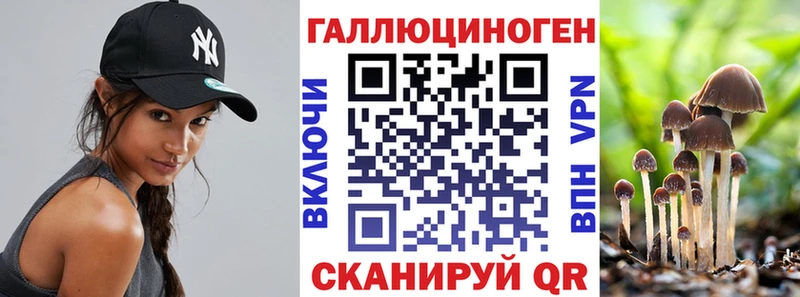 Галлюциногенные грибы MAGIC MUSHROOMS  darknet Telegram  Ачхой-Мартан 